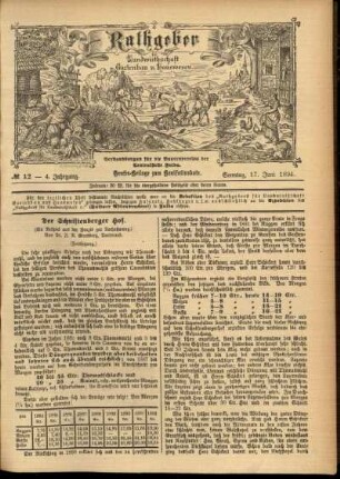 Ausgabe vom Sonntag, den 17. Juni 1894.
