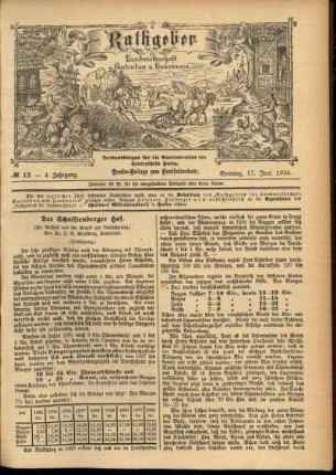 Ausgabe vom Sonntag, den 17. Juni 1894.