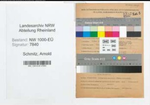 Entnazifizierung Arnold Schmitz, geb. 06.03.1910 (Angestellter)
