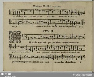 XXVIII. Corporalis exercitatio