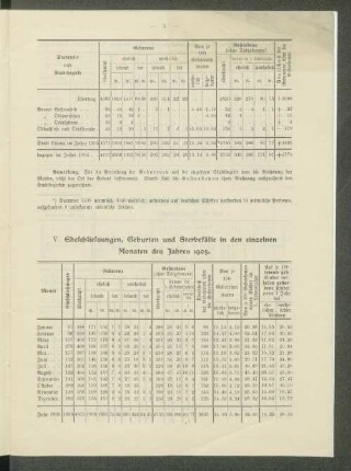 V. Eheschliessungen, Geburten und Sterbefälle in den einzelnen Monaten des Jahres 1905.