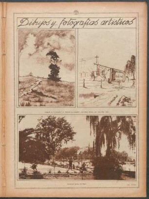 Dibujos y fotografías artísticos