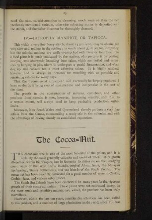 The cocoa-nut.