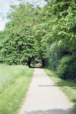 Jersbeker Park: Parkweg