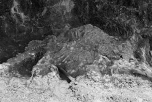 Dinosaurierknochen : Blick auf eine Ausgrabungsstätte von Dinosaurierknochen