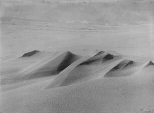 Sanddünen : Sanddünen auf einer Nehrung bei Samland.