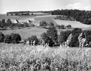 Ortsansicht von einem Feld