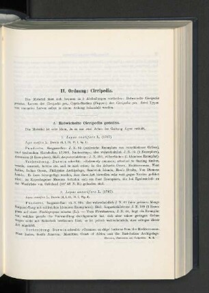 Entwickelte Cirripedia genuina.