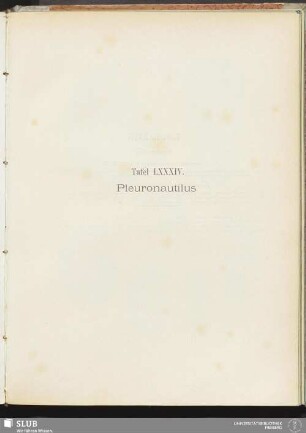 Tafel LXXXIV. Pleuronautilus