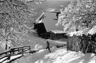 Oberried: Weg mit Bauernhaus im Schnee; Fräulein Ewerz fotografiert