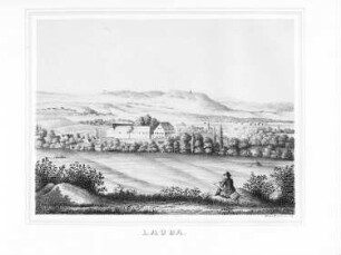 Lauba