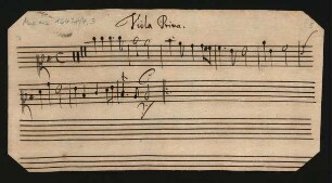 Viola prima - Viola quarta