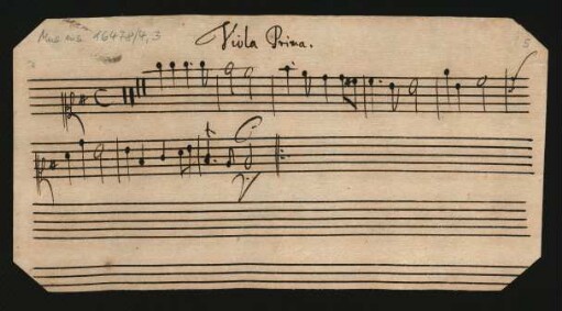Viola prima - Viola quarta
