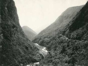 Chanchantal mit Bahn unterhalb Alausi. Stauden und Strauchvegetation