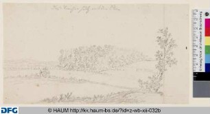 Das Siechenholz mit dem Elm