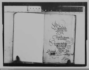 Gemeinde Waldhausen ./. Gemeinde Ahausen: Weiderechte und Pfändungen