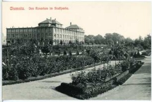 Chemnitz. Das Rosarium im Stadtpark