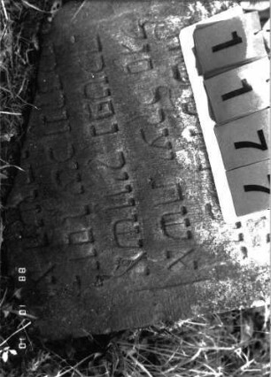 Grabstein 1177 (Index: 100098617) Maße HxBxT: 70x60x8 cm: Grabstein 1177 (Nachholaufnahme 2)