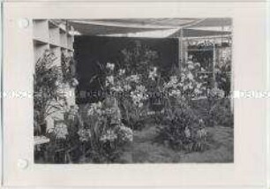 Hamburg, Internationale Gartenausstellung (IGA) 1973, Erste Hallenschau