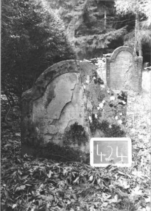 Grabstein 424 (Index: 99895189) Material: Sandstein Zustand: eingesunken, abgelättert, bewachsen Maße HxBxT: 73x67x7 cm Beschreibung: Stele mit eingezogenem Rundbogenabschluss: Grabstein 424