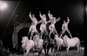 Circus Krone, Hannover, 1982