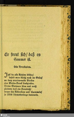 Er freut sich, daß es Sommer ist