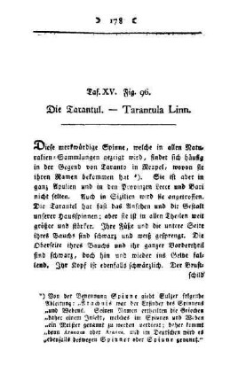 ¬Die¬ Tarantul : Tarantula Linn ; Taf. XV, Fig. 96