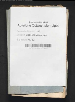Musterung der Landmiliz
