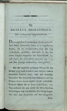 29. Gryllus Migratorius. Die verheerende Zugheuschrecke.