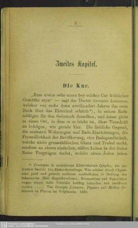 Zweites Kapitel. Die Kur