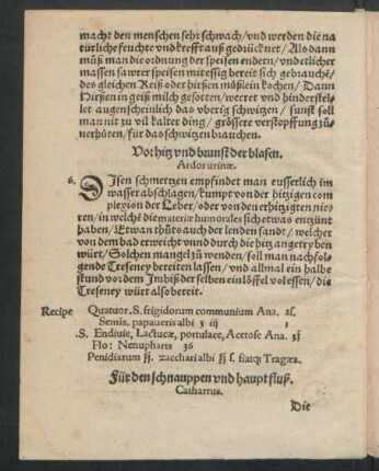 Vorhitz und brunst der blasen. Ardor urinae.