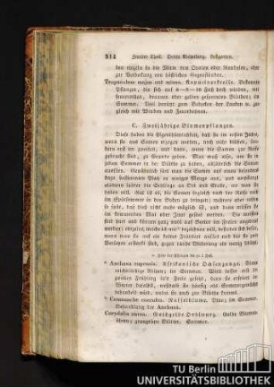 C. Zweijährige Blumenpflanzen.