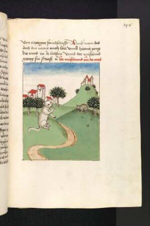 Die Unterhaltung zwischen Katz und Maus; (Kapitel VIII: Von der Katze und der Maus)