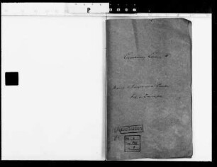 Berichte und Telegramme des Gesandten [Adolf] Frhr. v. Drachenfels