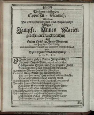 Thränen trieffender Cypressen-Strauch [...]