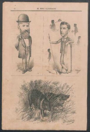 [Grabado de Péccaris.]