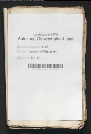 Vereidigung von Soldaten und Offizieren verschiedener Standorte