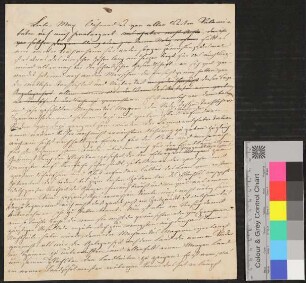 Undatierter Briefentwurf von Bettine von Arnim an Maximiliane von Oriola