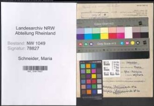 Entnazifizierung Maria Schneider , geb. 09.12.1919 ()