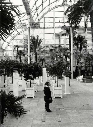 Insel Mainau, im neuen Palmenhaus