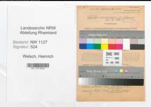 Entnazifizierung Heinrich Welsch , geb. 04.03.1899 (Lehrer)