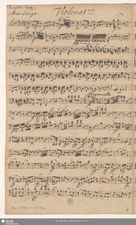 Violino Imo.