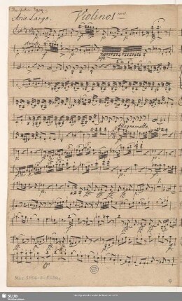 Violino Imo.