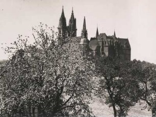Meißen. Dom und Albrechtsburg