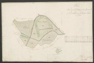 Plan über den Schwarzacher Gemeind-Niederwald im Stollhofner Forst