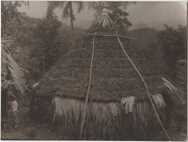 "Hütte bei den Bogotá-Indianern" (Guaymi)