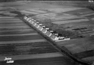 Dessau-Törten, Siedlung