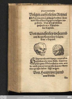 Von mancherley wehtumb vnd Kranckheyten des Haupts. Das I. Capitel.