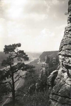 Elbsandsteingebirge. Naturschutzgebiet Bastei. Basteiwände elbabwärts gesehen