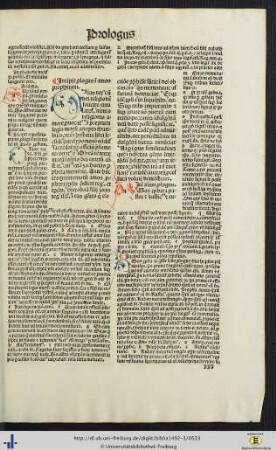 Prologi in amos prophetam cum expositione
